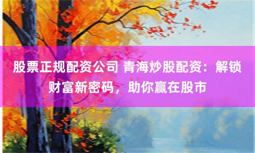 股票正规配资公司 青海炒股配资：解锁财富新密码，助你赢在股市